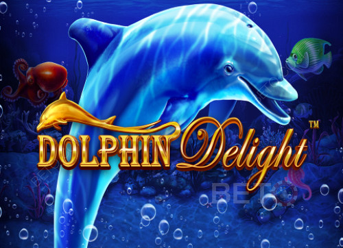 Dolphin Delight 
