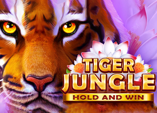 Tiger Jungle Hold and Win