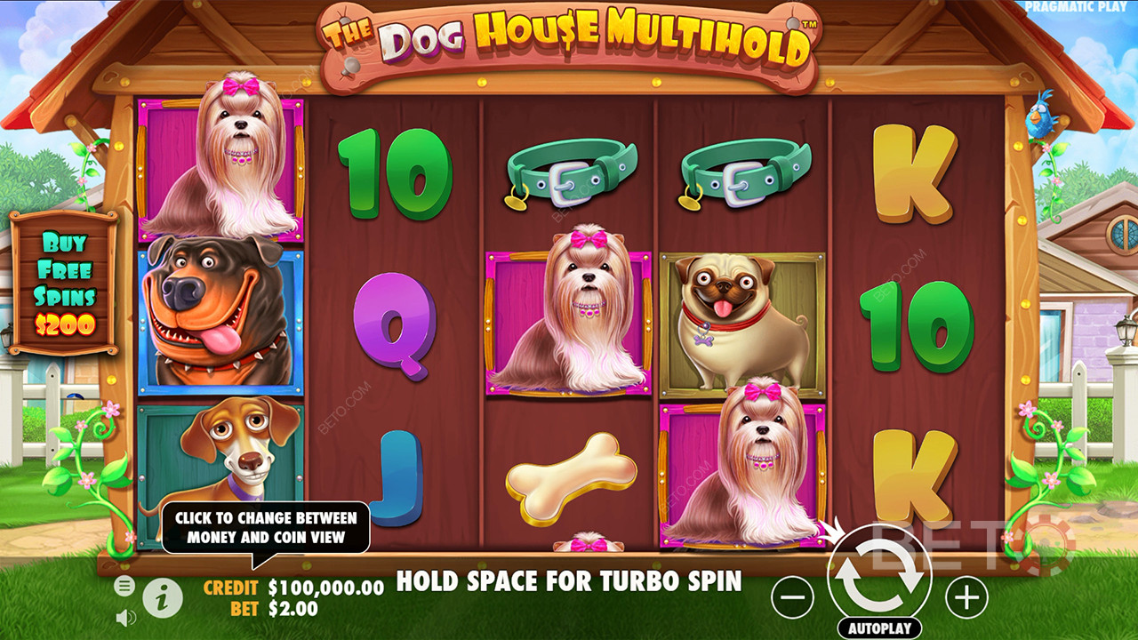 Sådan spiller du The Dog House Multihold fra Pragmatic Play
