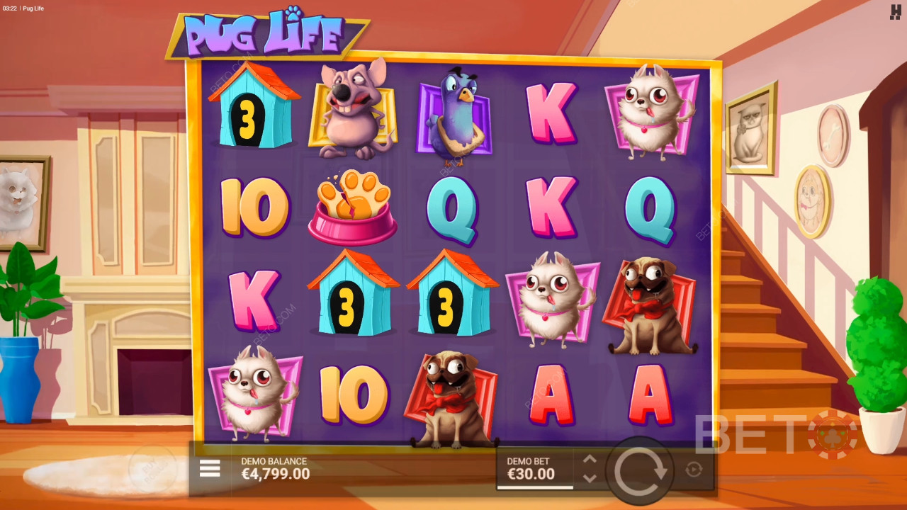 Mops Livet: Anmeldelse fra BETO Slots