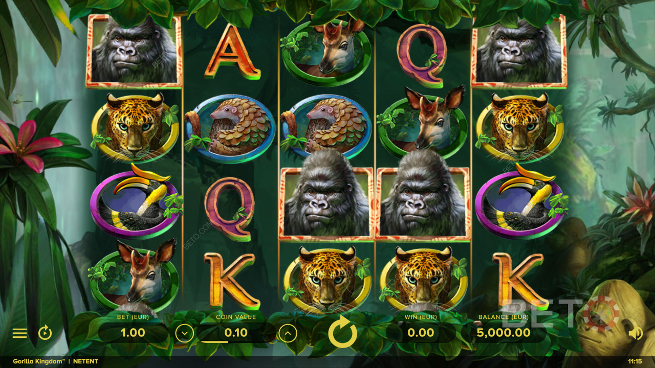 Vilde dyresymboler i Gorilla Kingdom online spilleautomat