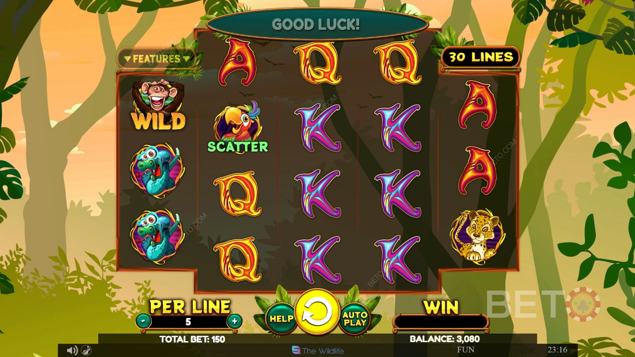 Wacky Monkey Spil For sjov