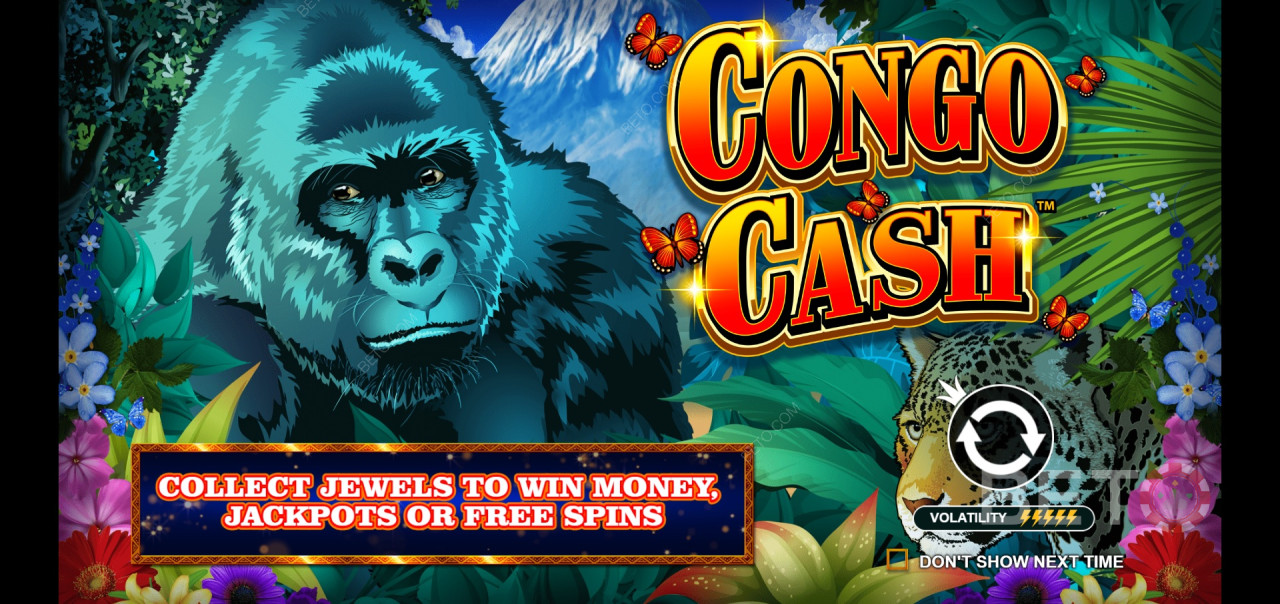 Congo Cash - Følg Gorillaen på et jungleeventyr