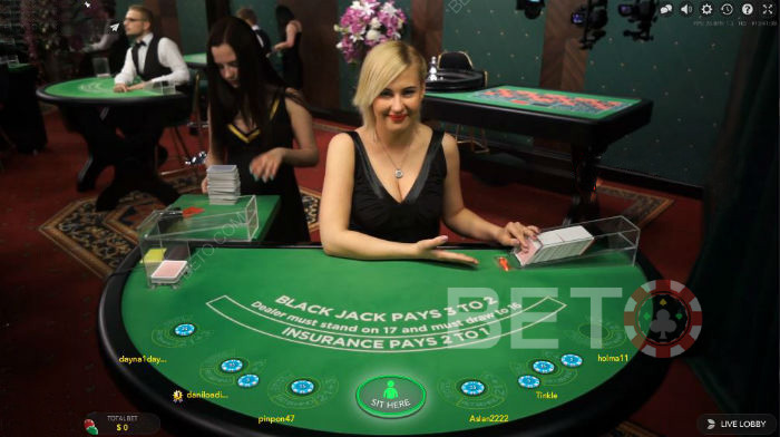 Kortene er klar til at blive delt i Live Blackjack