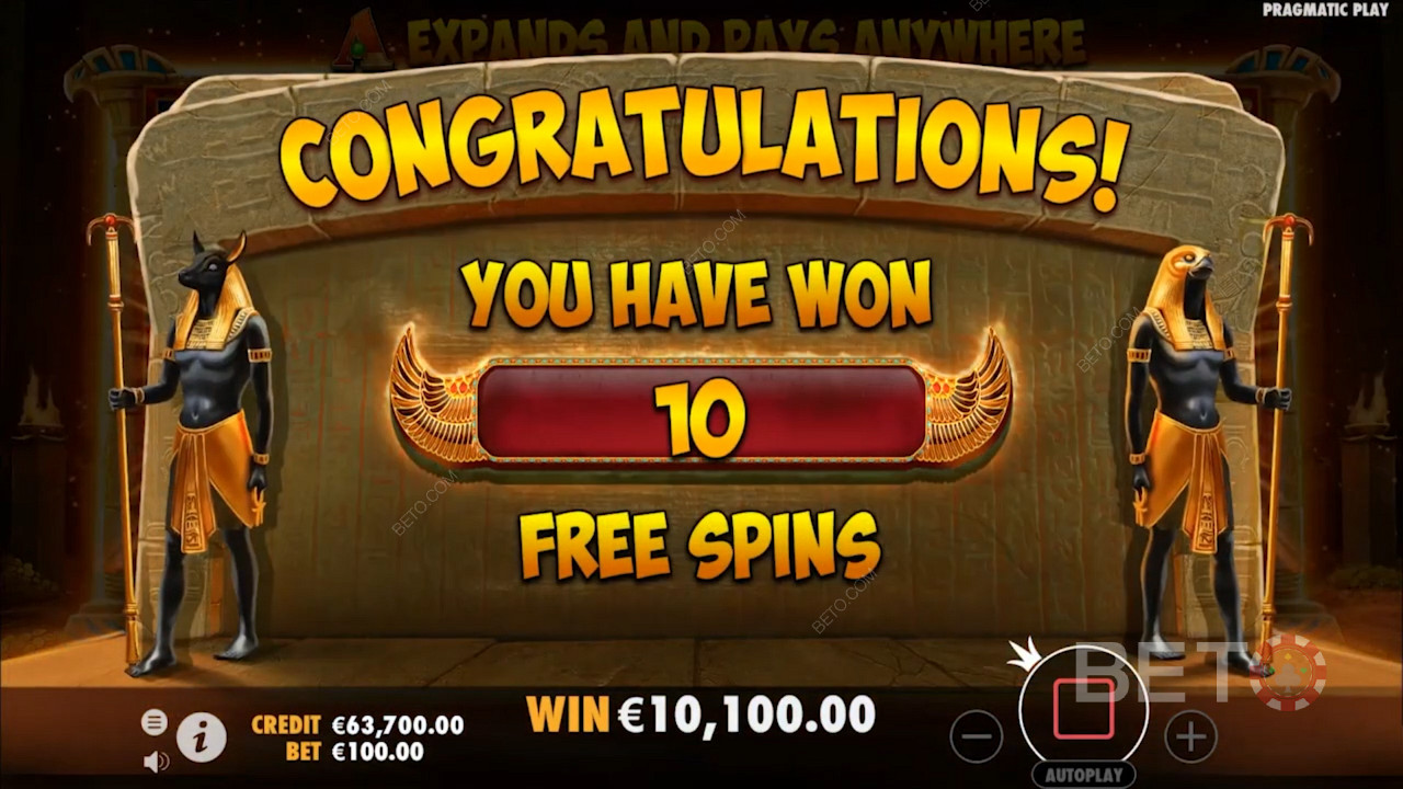 Få free spins i John Hunter And The Book Of Tut
