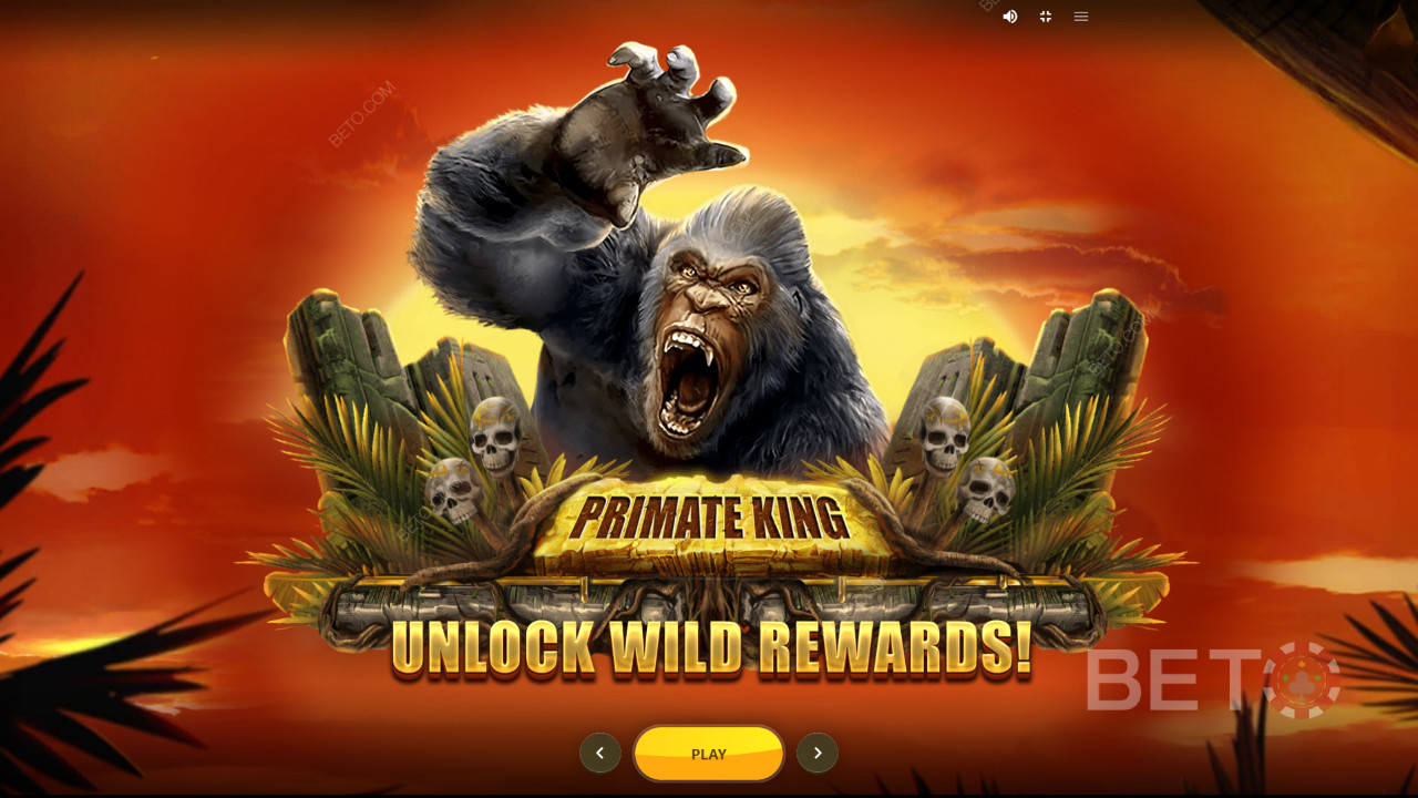 Fascinerende grafik i Primate King automaten