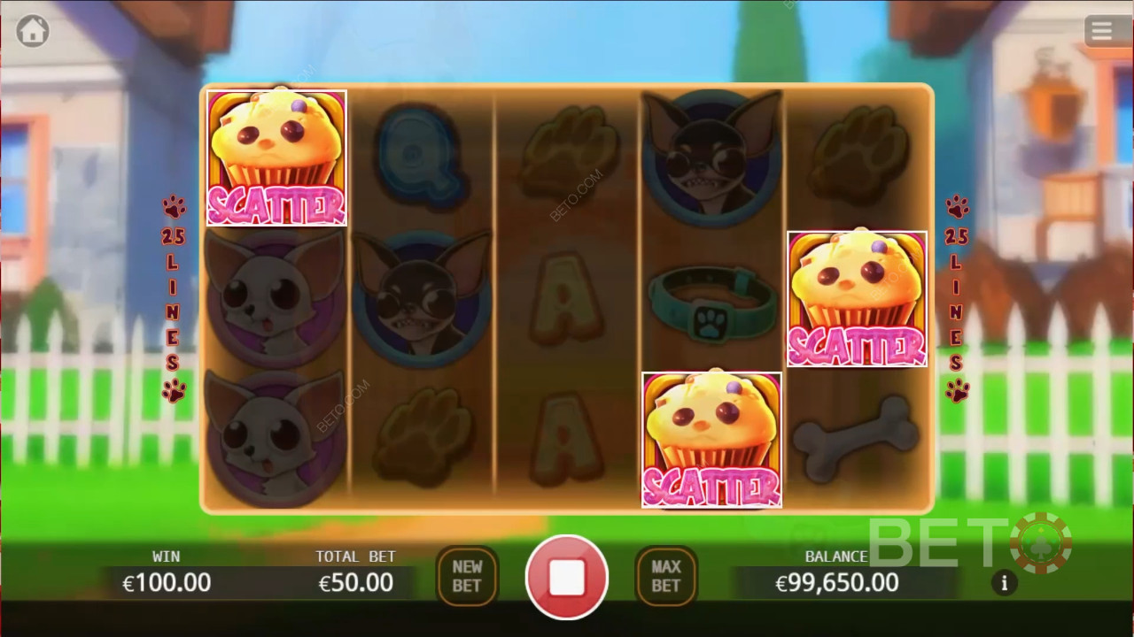 Chihuahua Fest: Anmeldelse fra BETO Slots