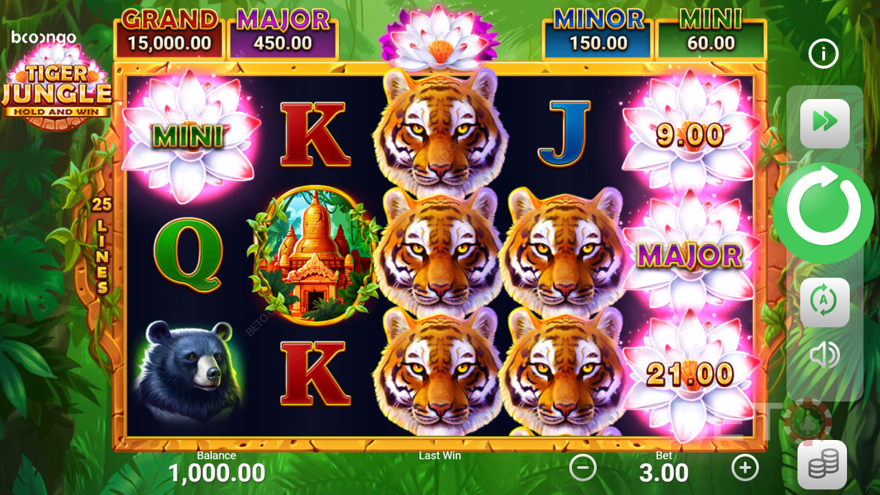 Udforsk de vilde indiske jungler i Tiger Jungle Hold and Win spillet