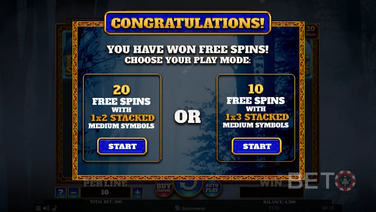 Aktiver Free Spins-runden og vælg mellem 2 typer Free Spins-bonusser