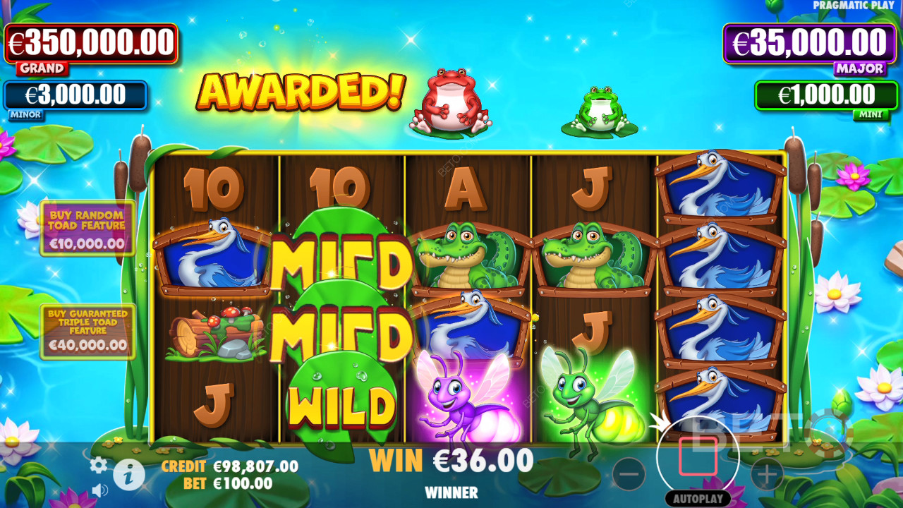 Små Frøer Anmeldelse fra BETO Slots