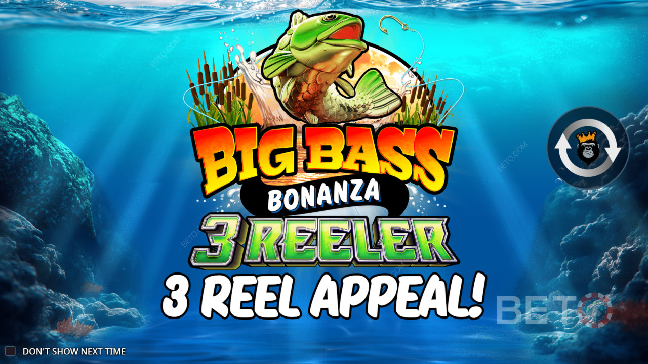 Sådan spiller du Reel Kingdom
