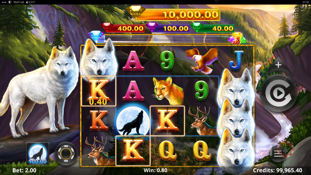 Smukke hvide ulve i Wolf Call-spillet