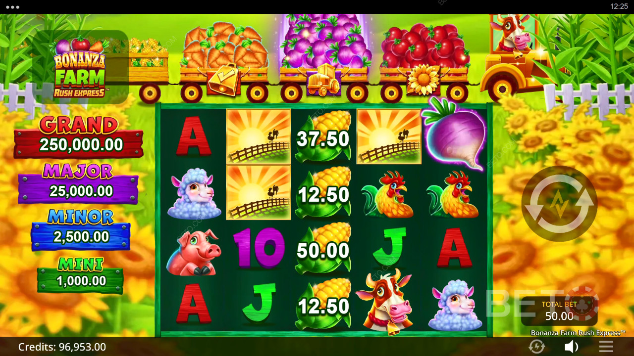 Bonanza Farm Rush Express: Anmeldelse fra BETO