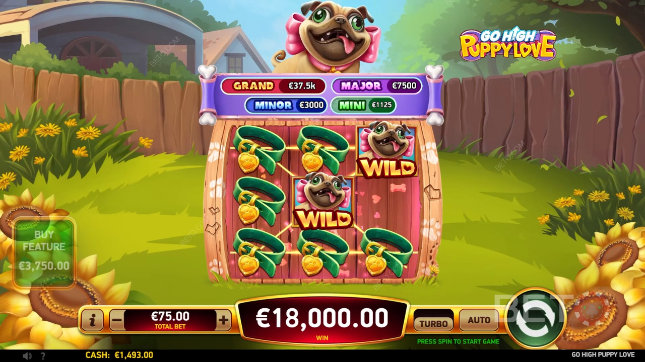 Høj Hvalpe Kærlighed Anmeldelse fra BETO Slots