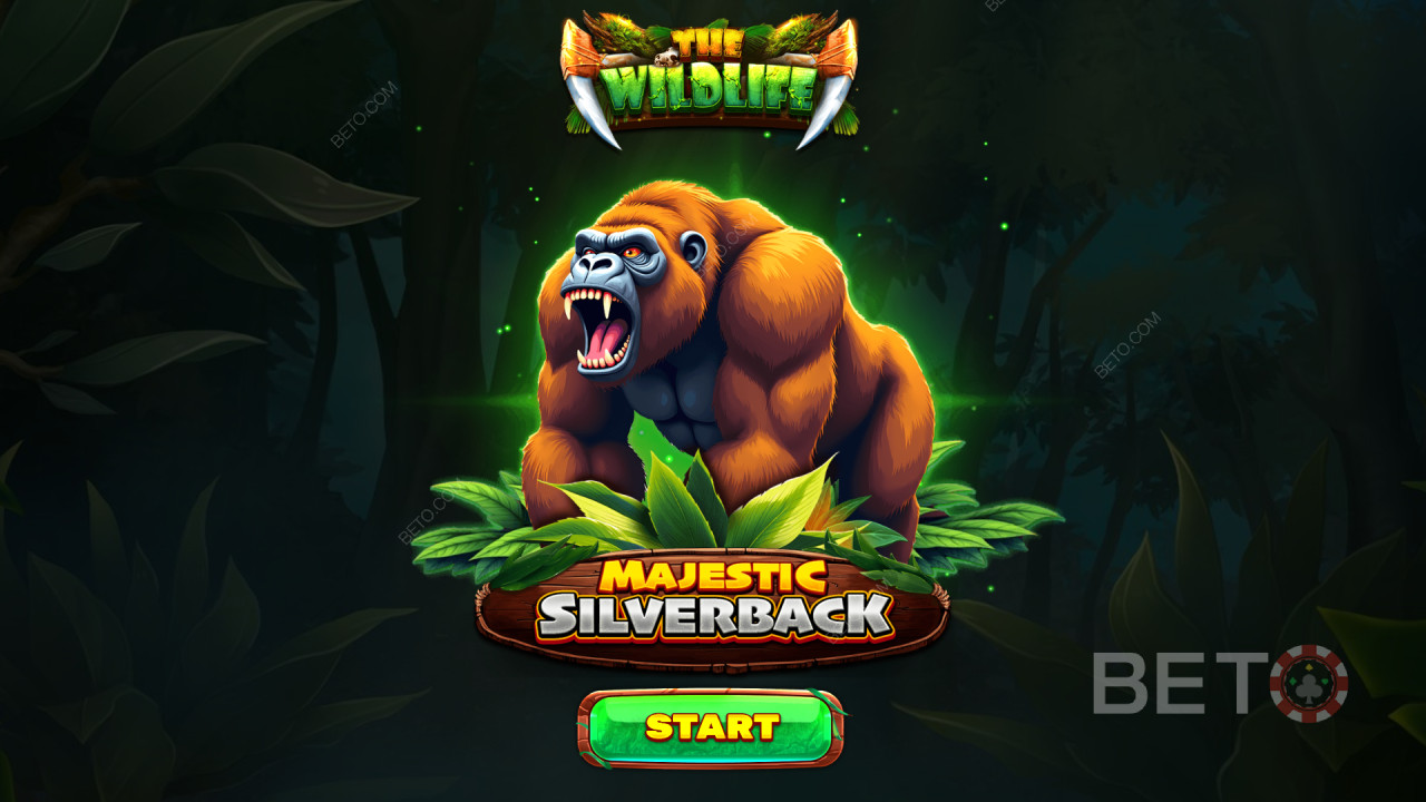 Bonusfunktioner Forklaret i Majestic Silverback fra Spinomenal