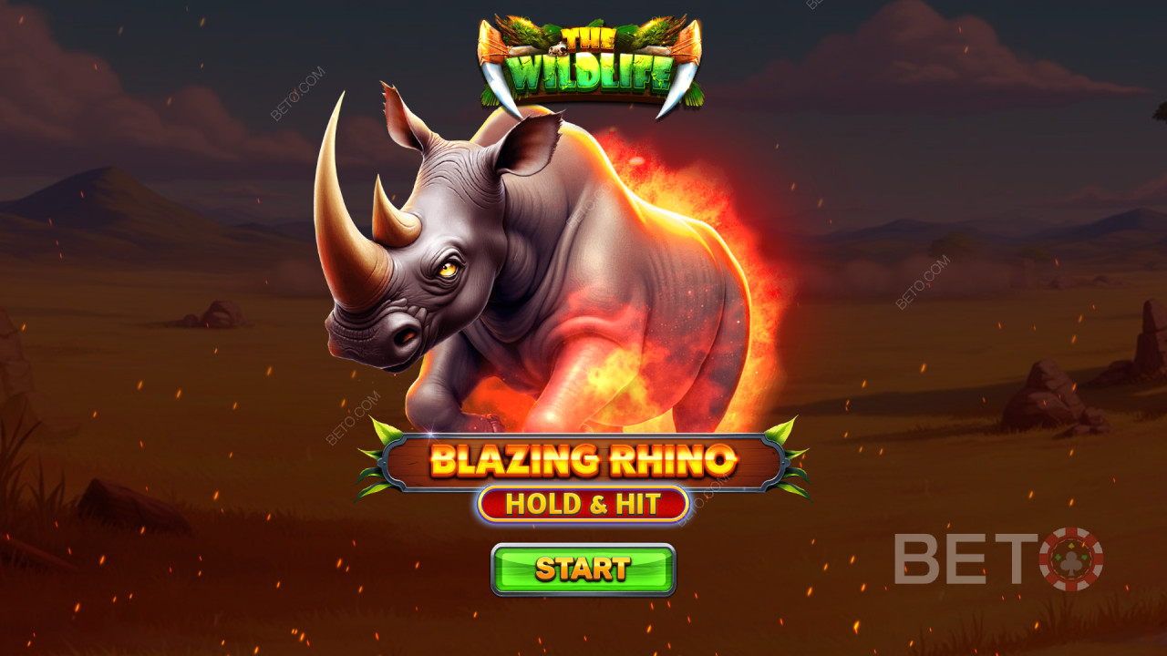 Sådan spiller du Spinomenals Blazing Rhino Hold & Hit
