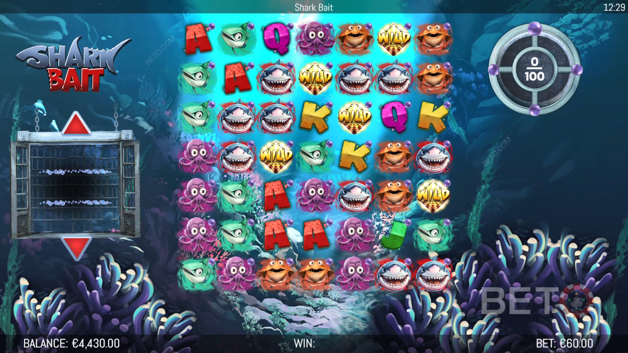 Bonusfunktioner Forklaret i Shark Bait af Hungry Bear