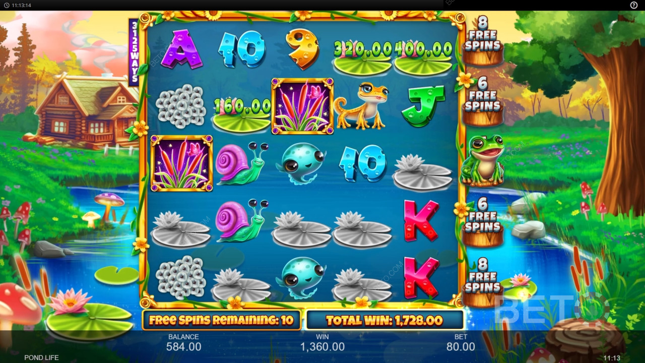 Bonusfunktioner Forklaret i Pond Life af Inspired Gaming