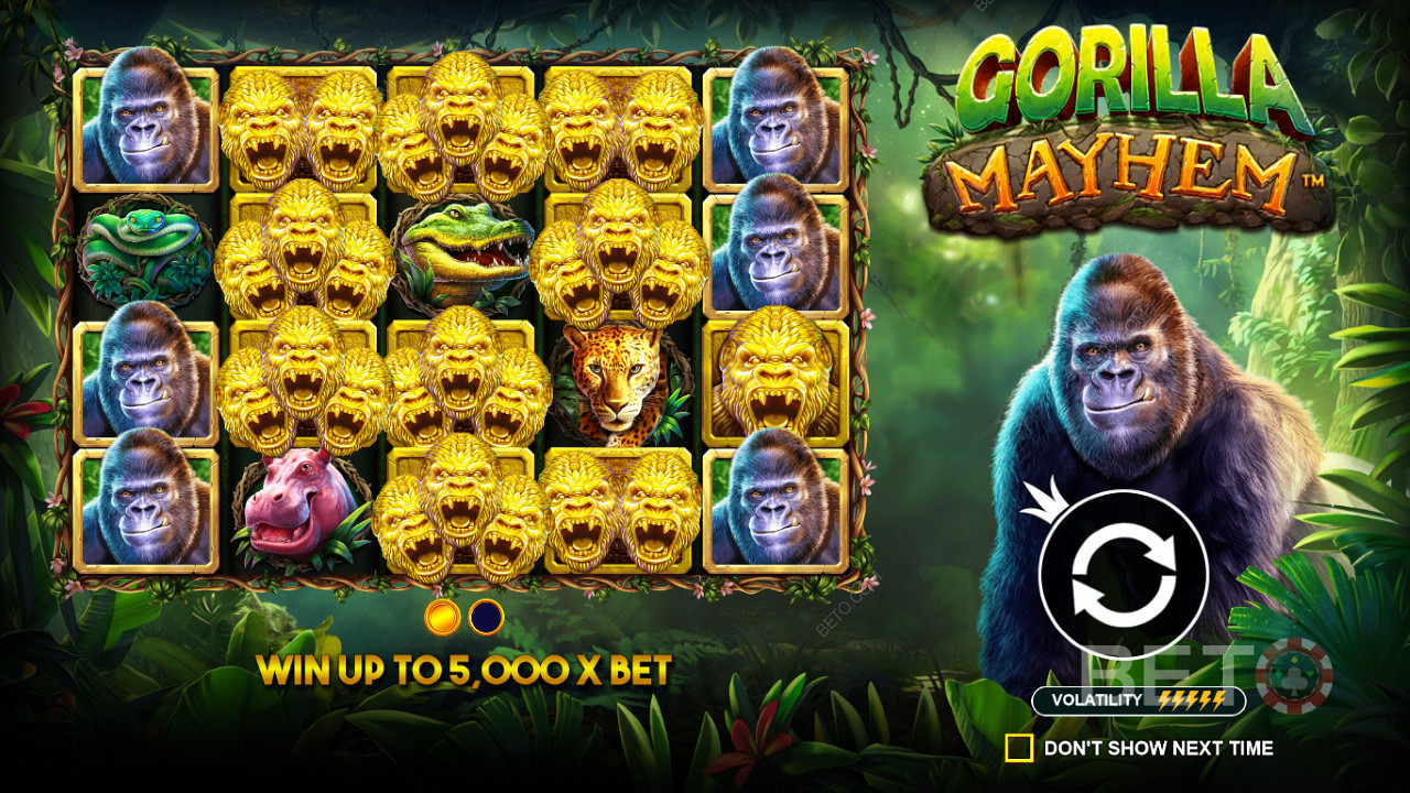 De Gyldne Gorilla symboler spiller en vigtig rolle i Gorilla Mayhem