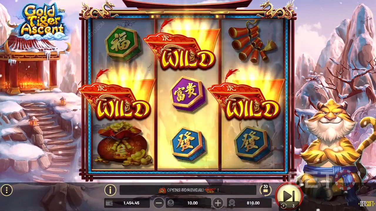 Gold Tiger Ascent Spil For sjov