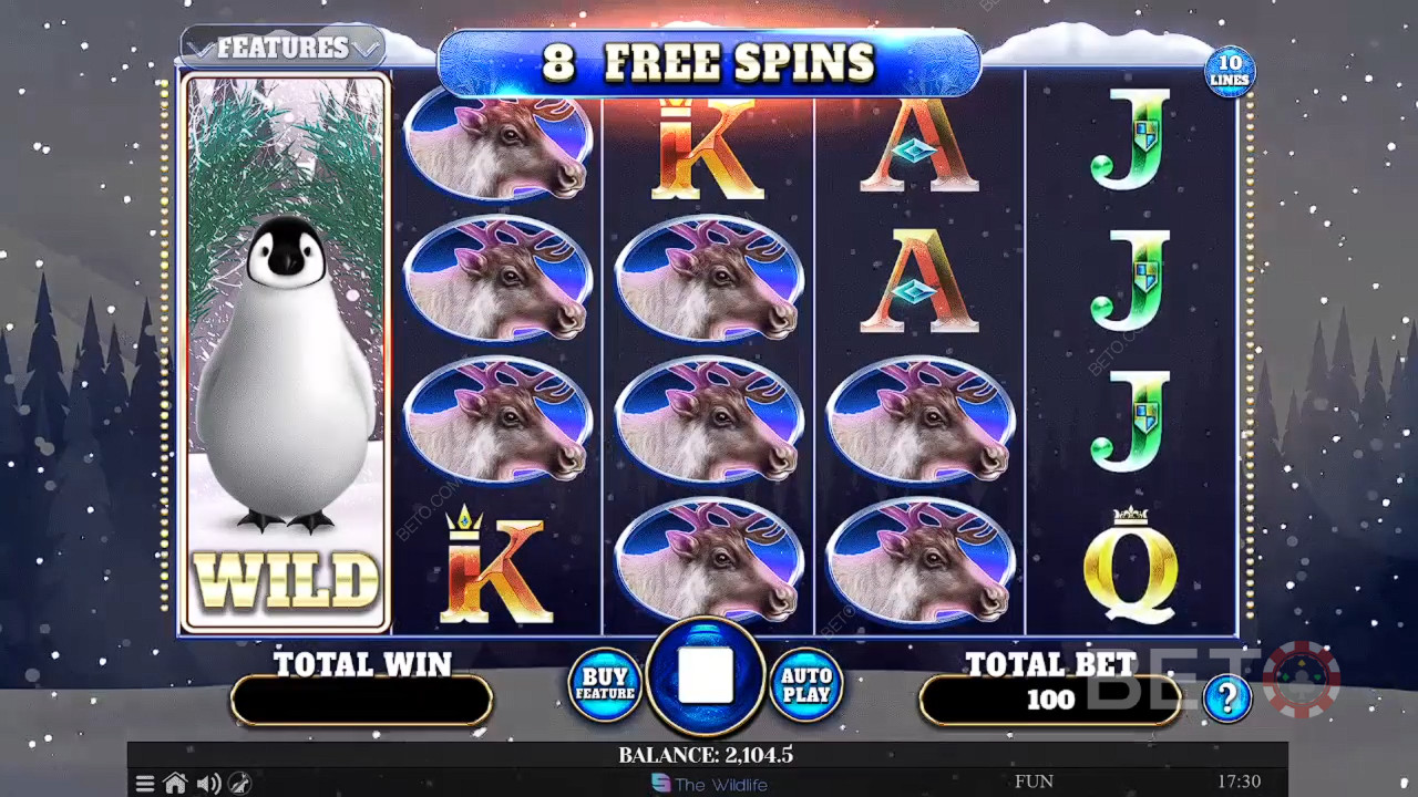 Vild Pingvin Anmeldelse fra BETO Slots