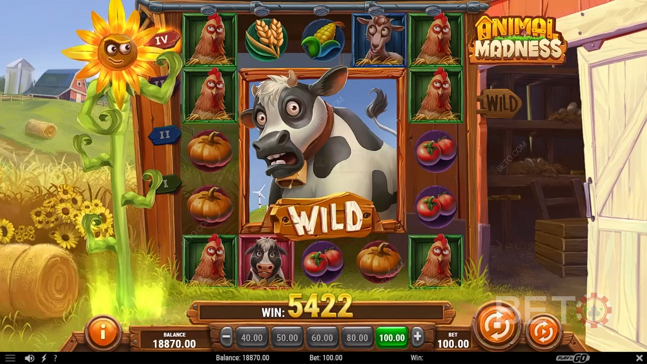 Animal Madness Spil For sjov