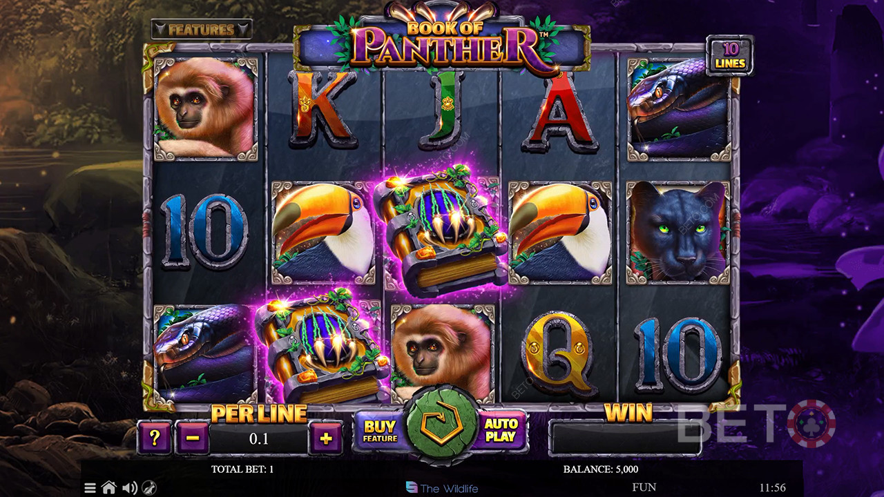 Anmeldelse af Book of Panther på BETO Slots
