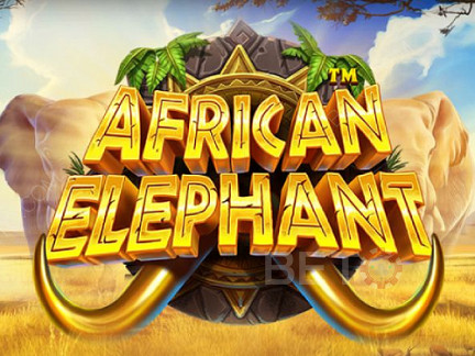 African Elephant Demo