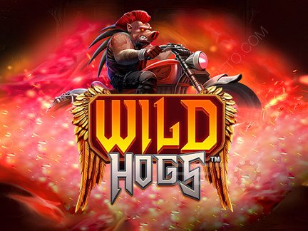 Wild Hogs Demo