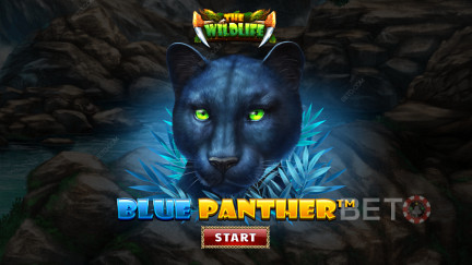 Blue Panther Spillemaskine » Spil for Sjov & Anmeldelse! (2023)