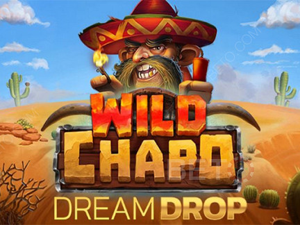 Wild Chapo Dream Drop Demo
